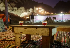 Deluxe Overnight Safari